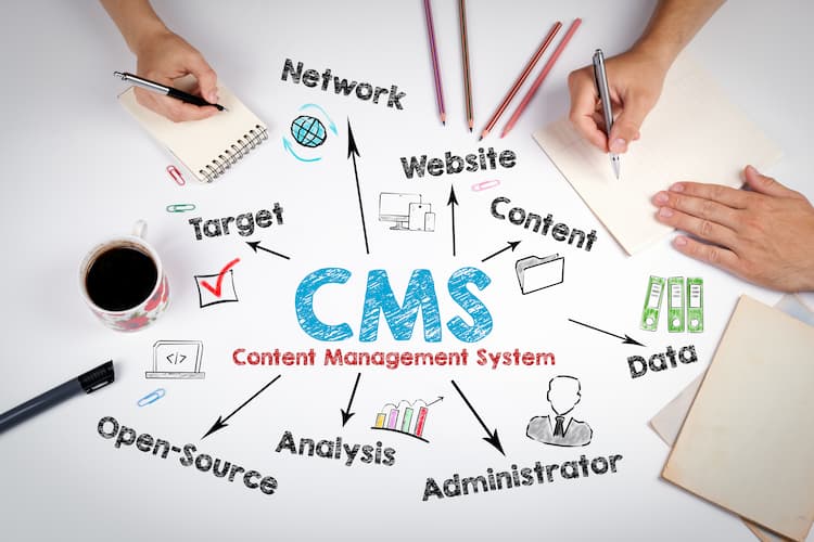CMS (Content Management SystemFs)
