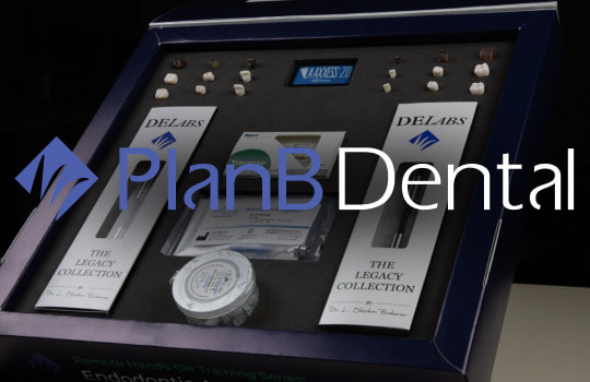PlanB: Designing an online academy and e-commerce website for a global store of endodontic products